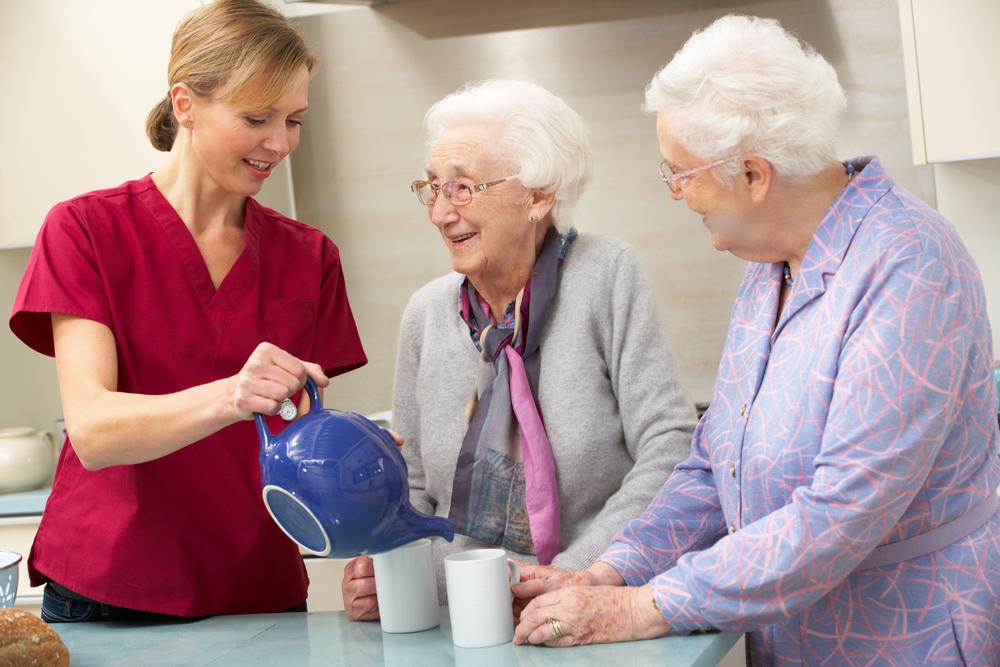 Key Insights Into Elderly Assisted Living Communities