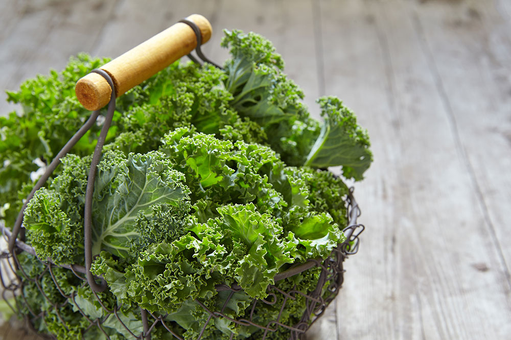 Comprehensive Nutritional Approaches to Managing and Slowing Macular Degeneration Progression