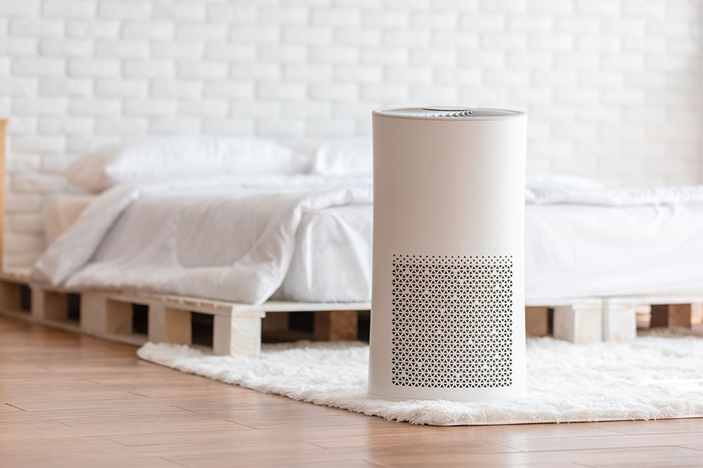 Top Molekule Air Purifiers of 2024