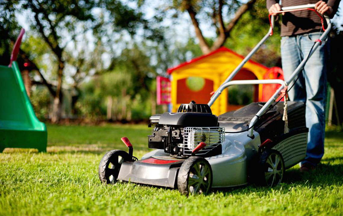 Enhance Your Garden's Beauty with Efficient Lawn Care Tools