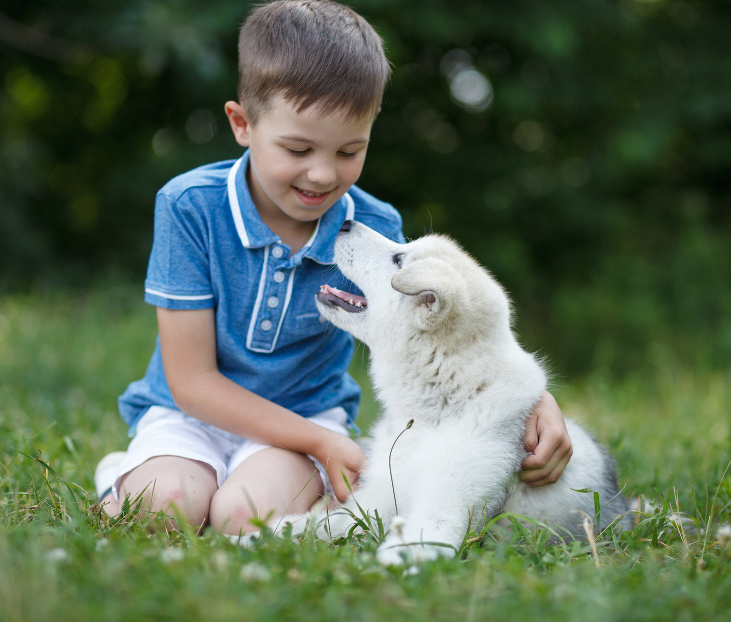 Essential Guide to Recognizing Dog Food Allergies