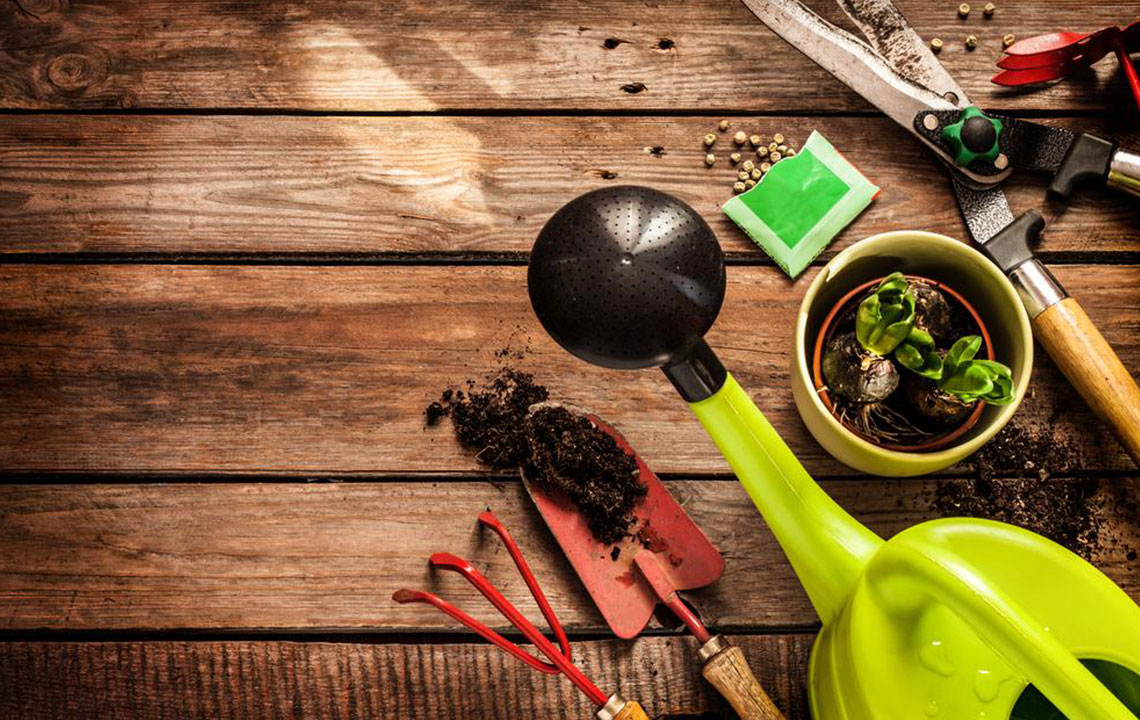 Essential Gardening Tools for Effortless Yard Care