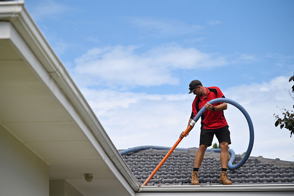 Comprehensive Guide to Gutter Maintenance and Expenses