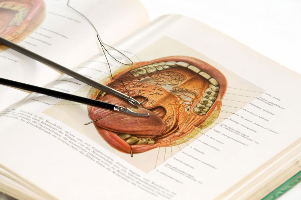 Essential Fields to Understand Human Body Structure