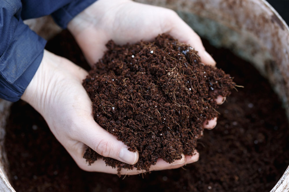 Top 7 Natural Fertilizers for a Thriving Garden