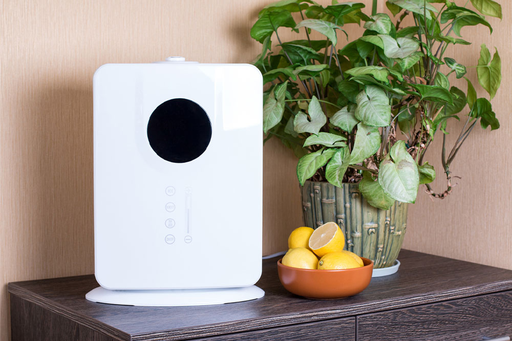 Effective Strategies to Enhance Indoor Air Circulation and Purity