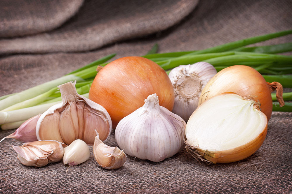 Beware: 3 Human Foods That Can Harm Your Cat and What to Do Instead