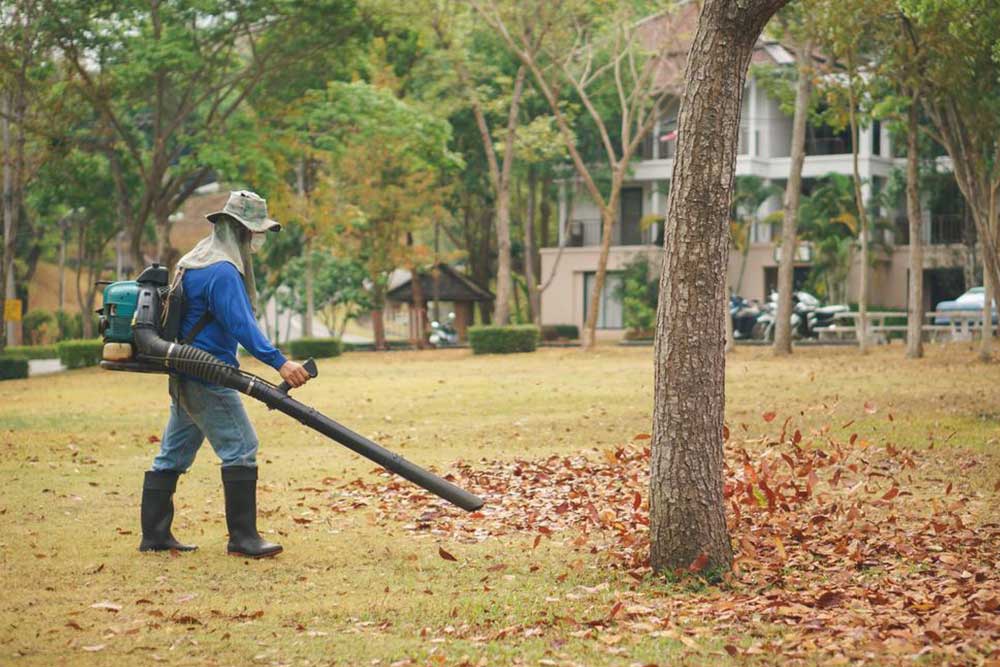 The Ultimate Guide to Choosing the Best Leaf Blower for Your Yard Maintenance