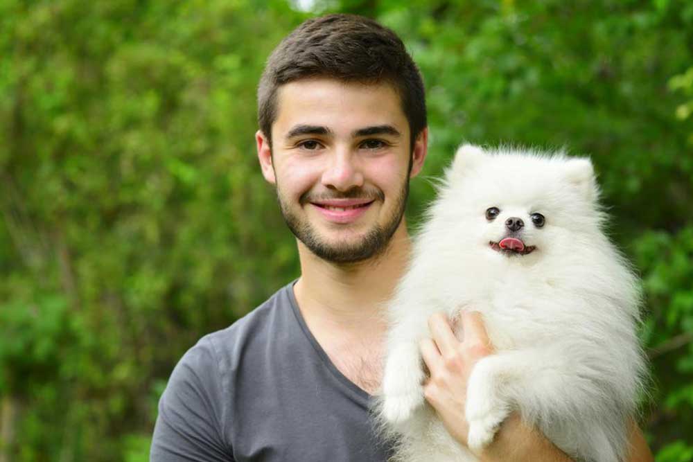 Essential Tips for Training Your Pomeranian Puppies