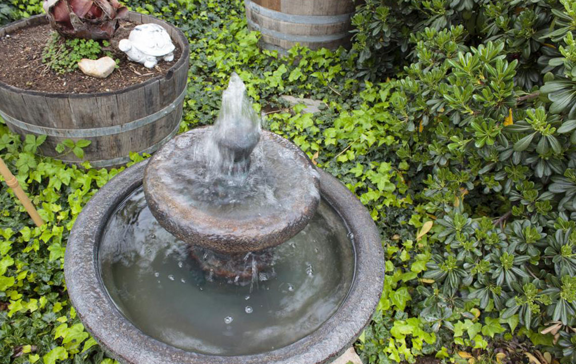 Essential Guide to Common Water Fountain Styles