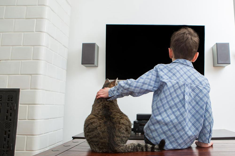 Best Samsung 32-Inch TVs for Your Next Purchase