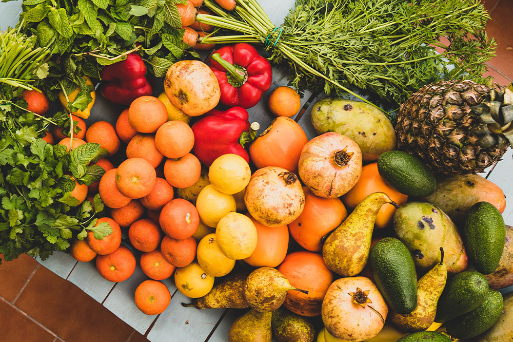 Nutritional Strategies for Supporting Renal Cancer Management