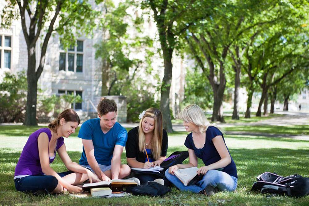 Top Texas Institutions Offering Online Degree Programs