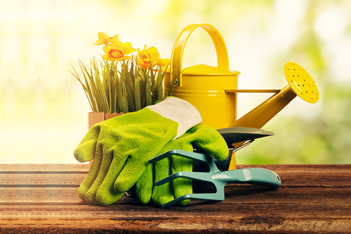 Essential Gardening Tools Every Enthusiast Should Own