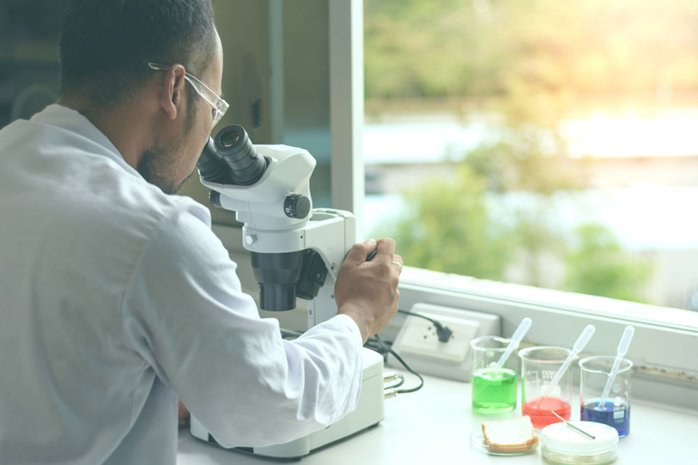 Comprehensive Guide to Choosing the Perfect Coin Inspection Microscope for Collectors and Professionals