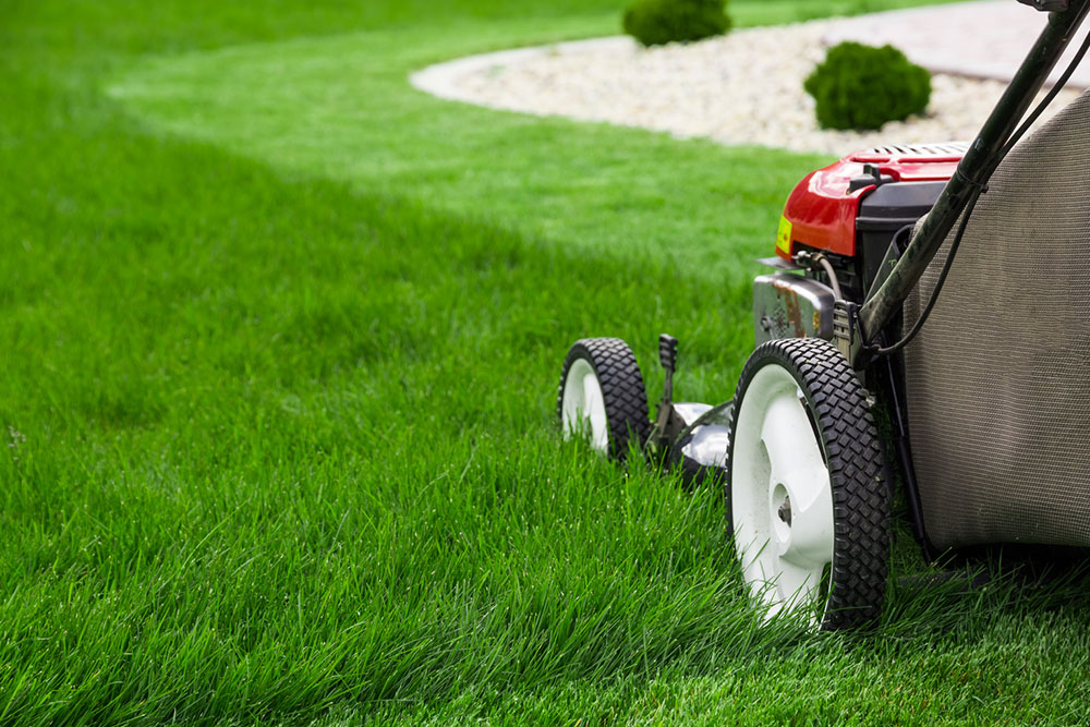 Effortless Access to Quality Lawn Mower Parts