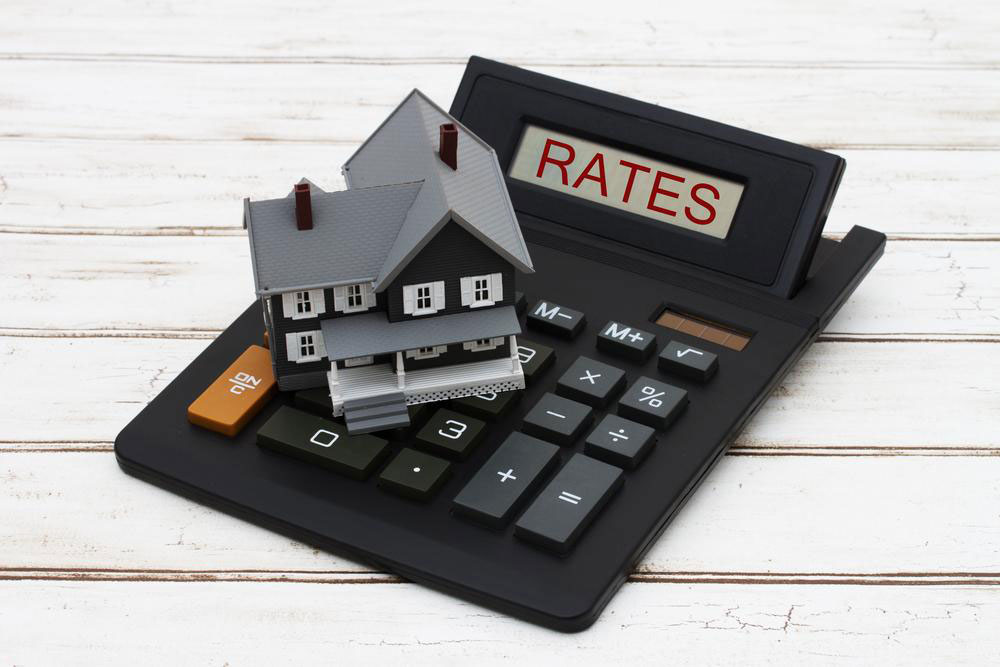 Mastering the Basics of Savings Interest Rates