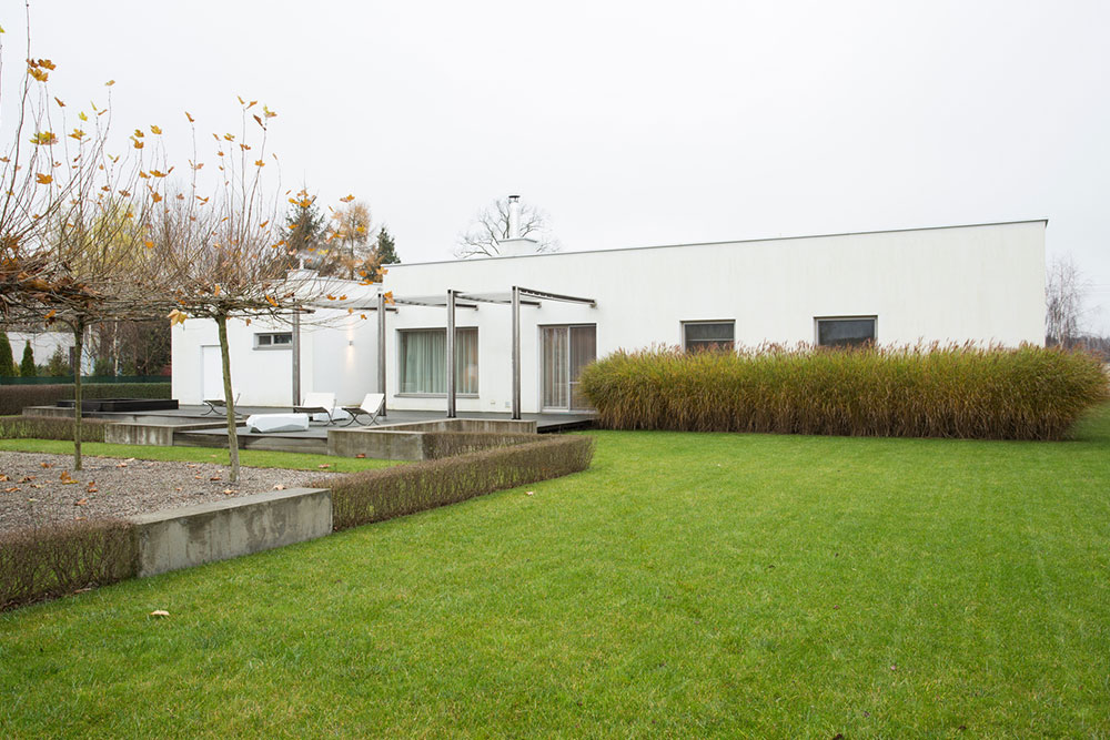 Top Advantages of Using Lawn Dethatchers for a Healthier Yard