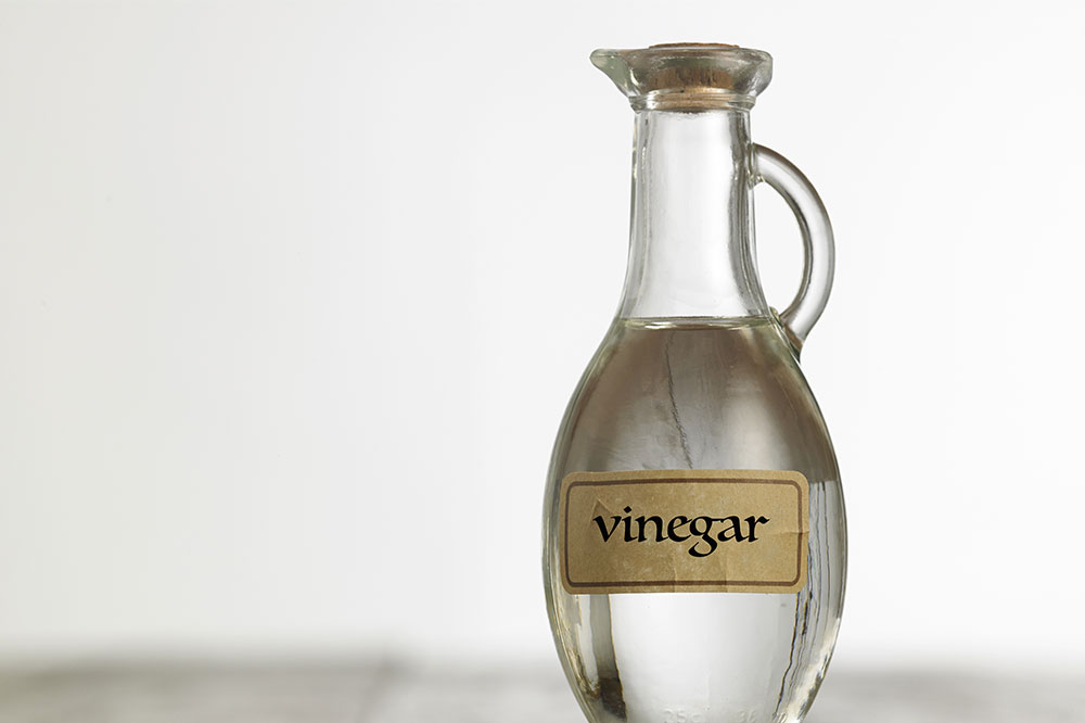 Effective Natural Remedy: Using White Vinegar for Ant Deterrence