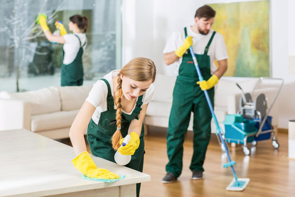 Explore a Wide Range of Professional Cleaning Solutions