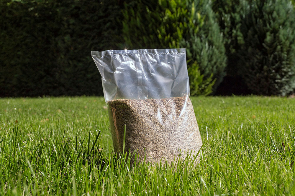 Top 11 Fast-Growing Grass Varieties for a Lush Lawn