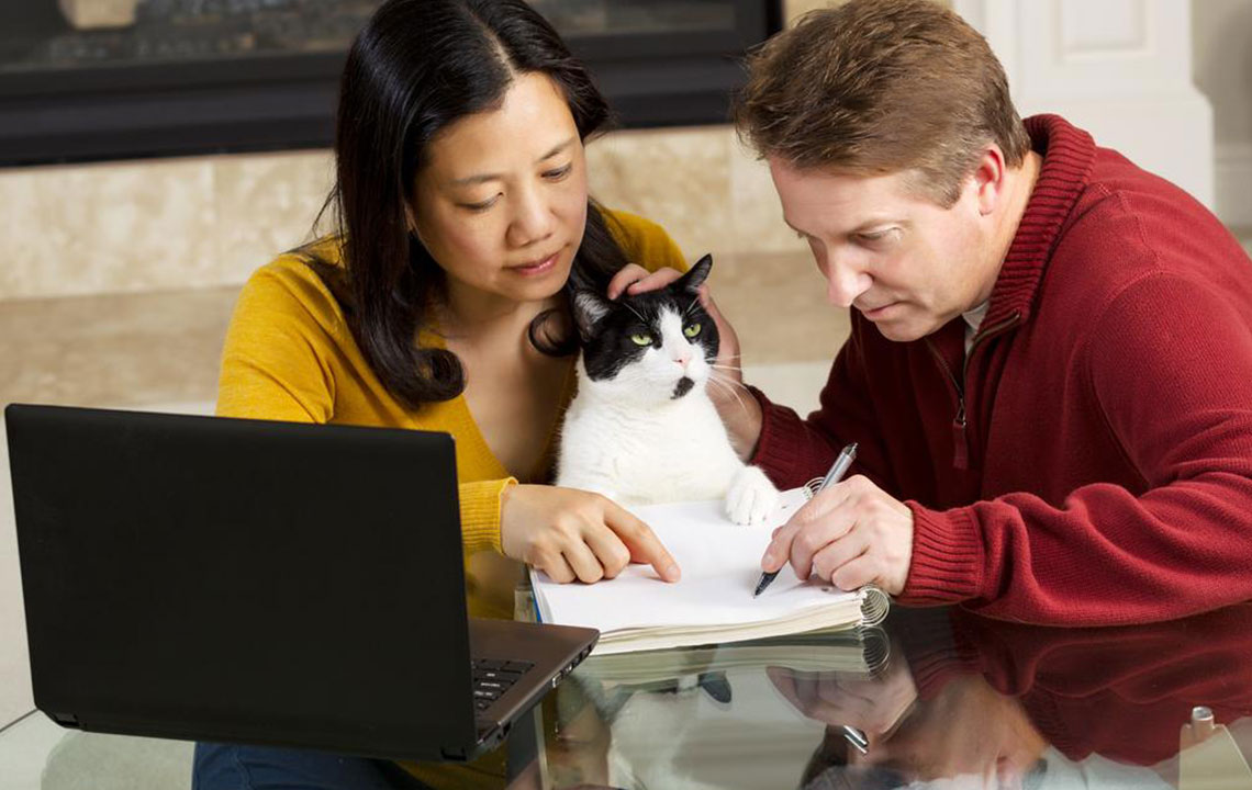 A Comprehensive Guide to Pet Insurance Benefits and Options