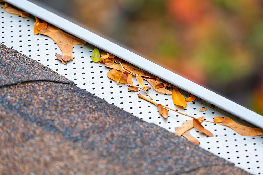 Top 4 Low-Maintenance Gutter Protection Solutions