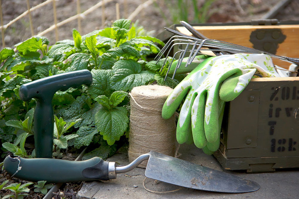 Guide to Creating a Beautiful Garden with Essential Tools and Accessories