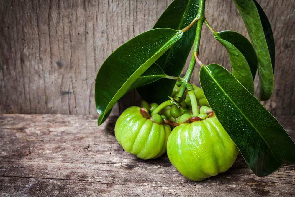 Essential Insights into Garcinia Cambogia