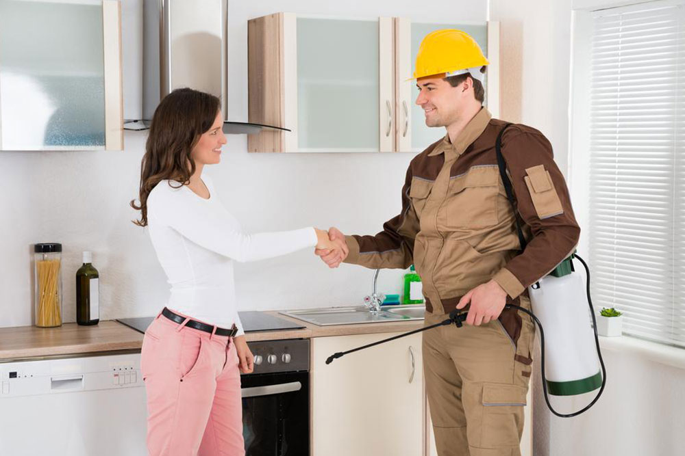 Effective Pest Control Solutions for Residences and Workplaces
