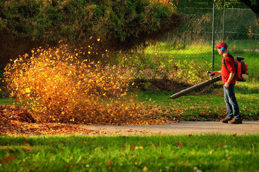 Essential Guide to Choosing the Perfect Leaf Blower