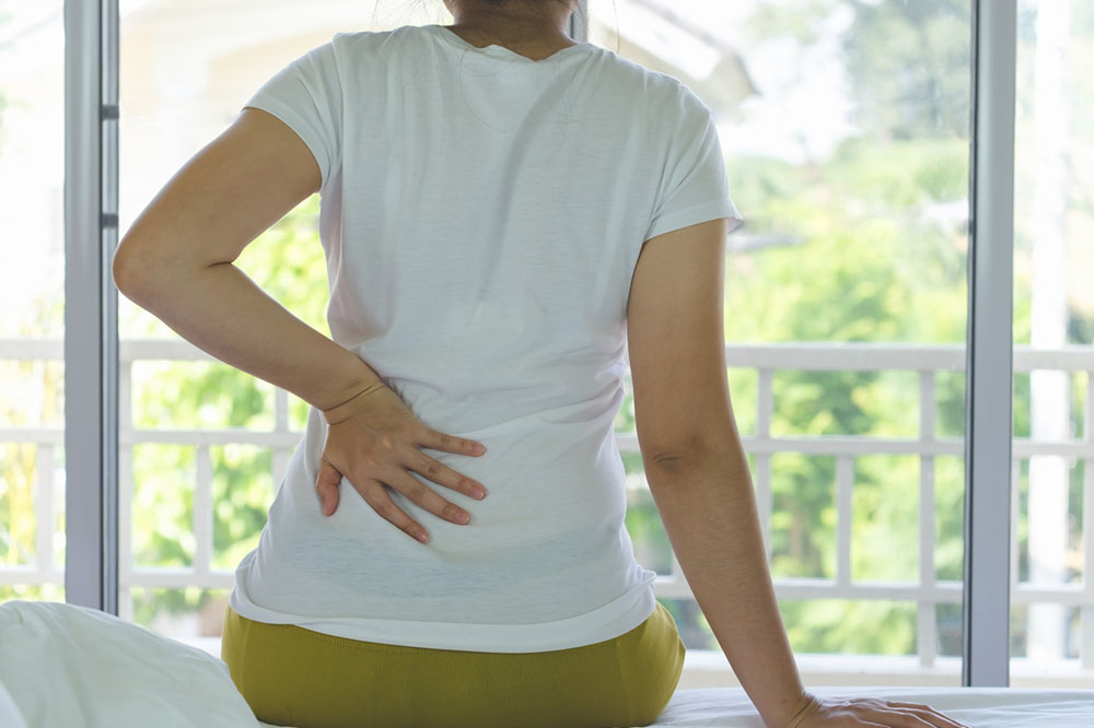 Hidden Wonders: 8 Fascinating Insights into Kidney Function and Facts