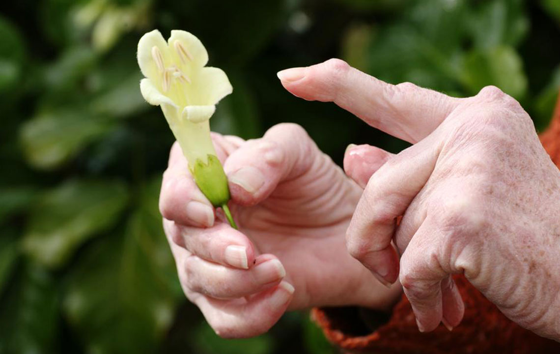 Effective Strategies for Managing Rheumatoid Arthritis Symptoms