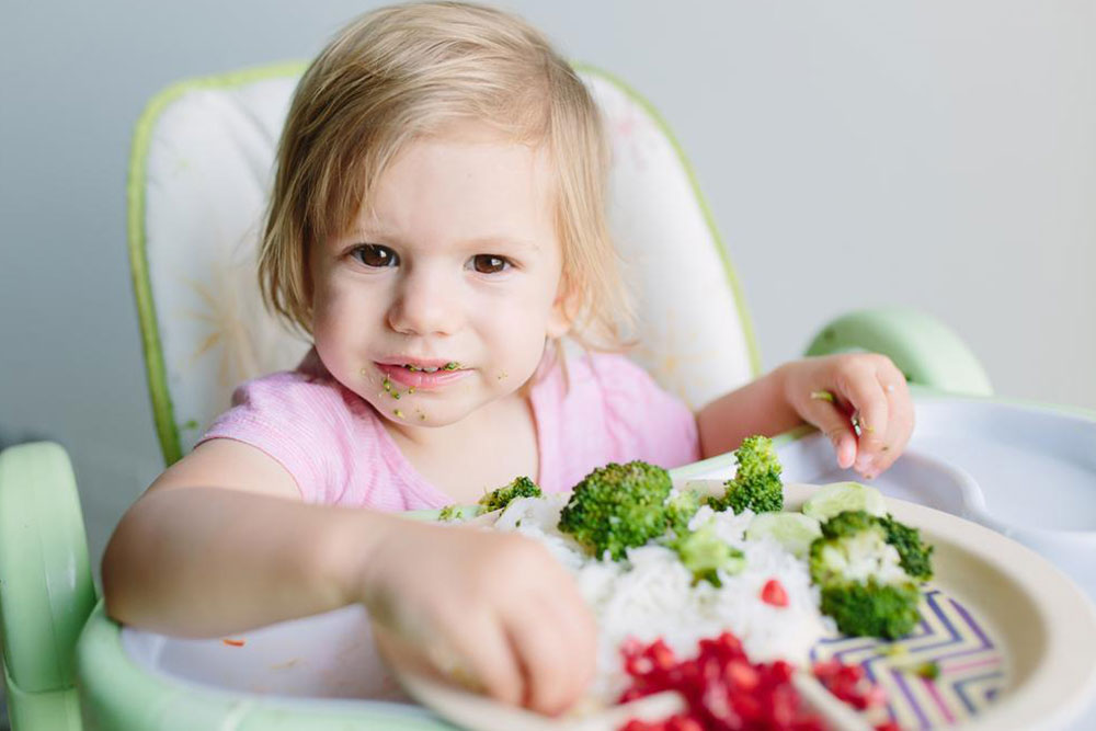 Healthy and Tasty Lunch Ideas for Toddlers