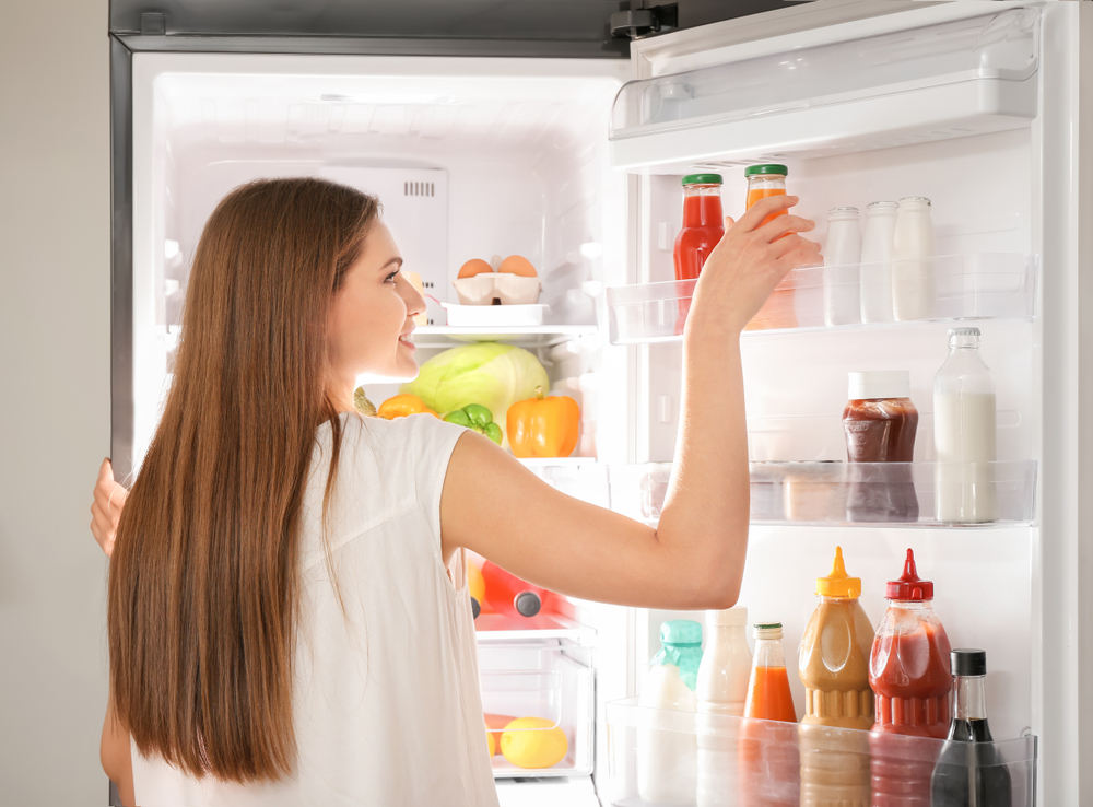 Top Refrigerators for Your Home and Business Needs