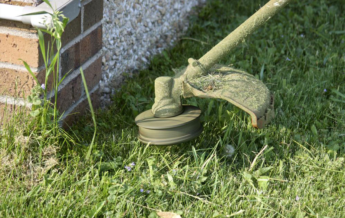 Simple Strategies to Prevent Weed Growth in Your Garden