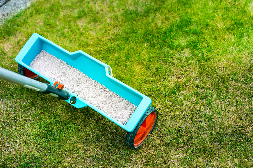 Top 10 Lawn Soil Amendments for Effective Turf Care