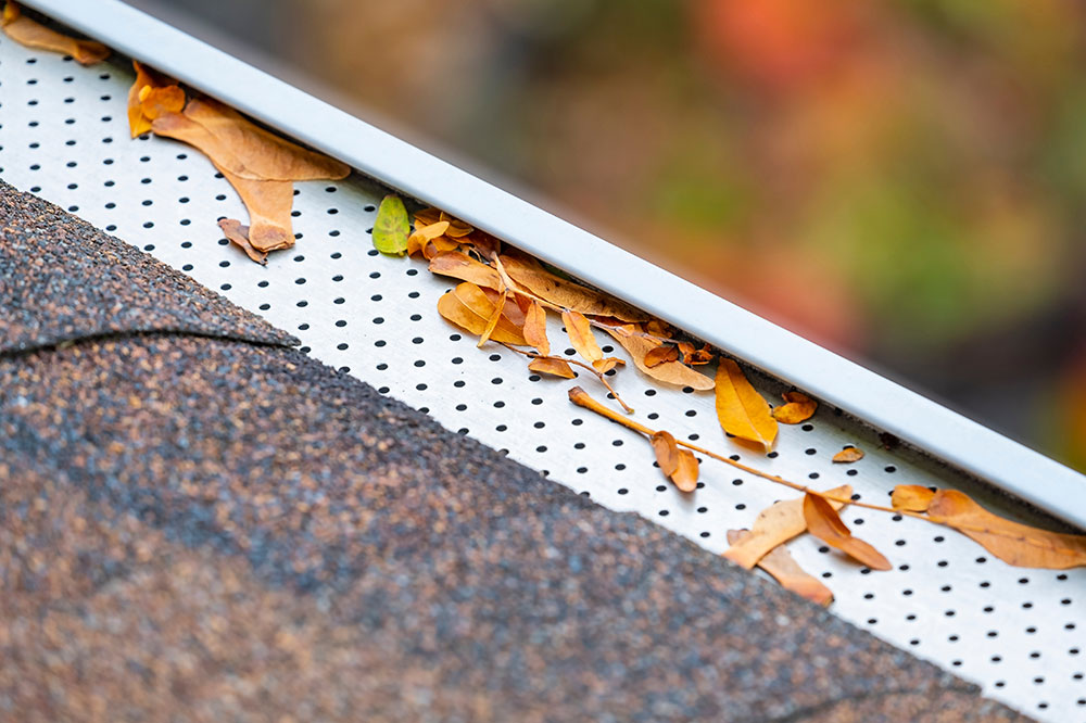 Top 5 Reasons to Choose LeafGuard Gutter Systems Today