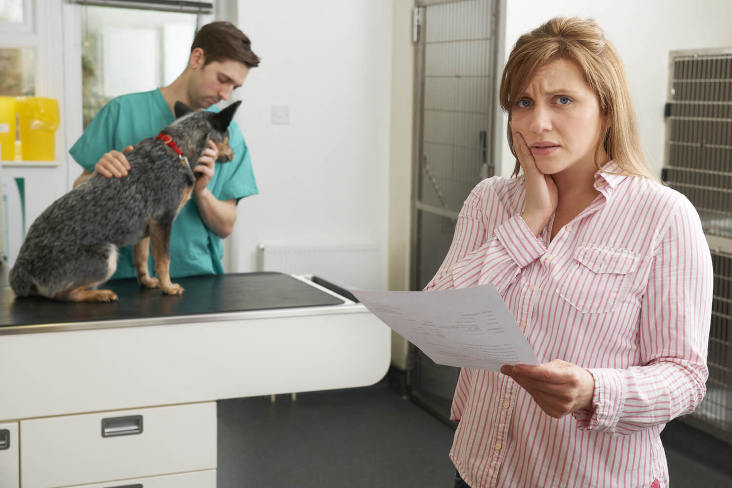 Ultimate Guide to Pet Insurance Cover for Euthanasia Procedures