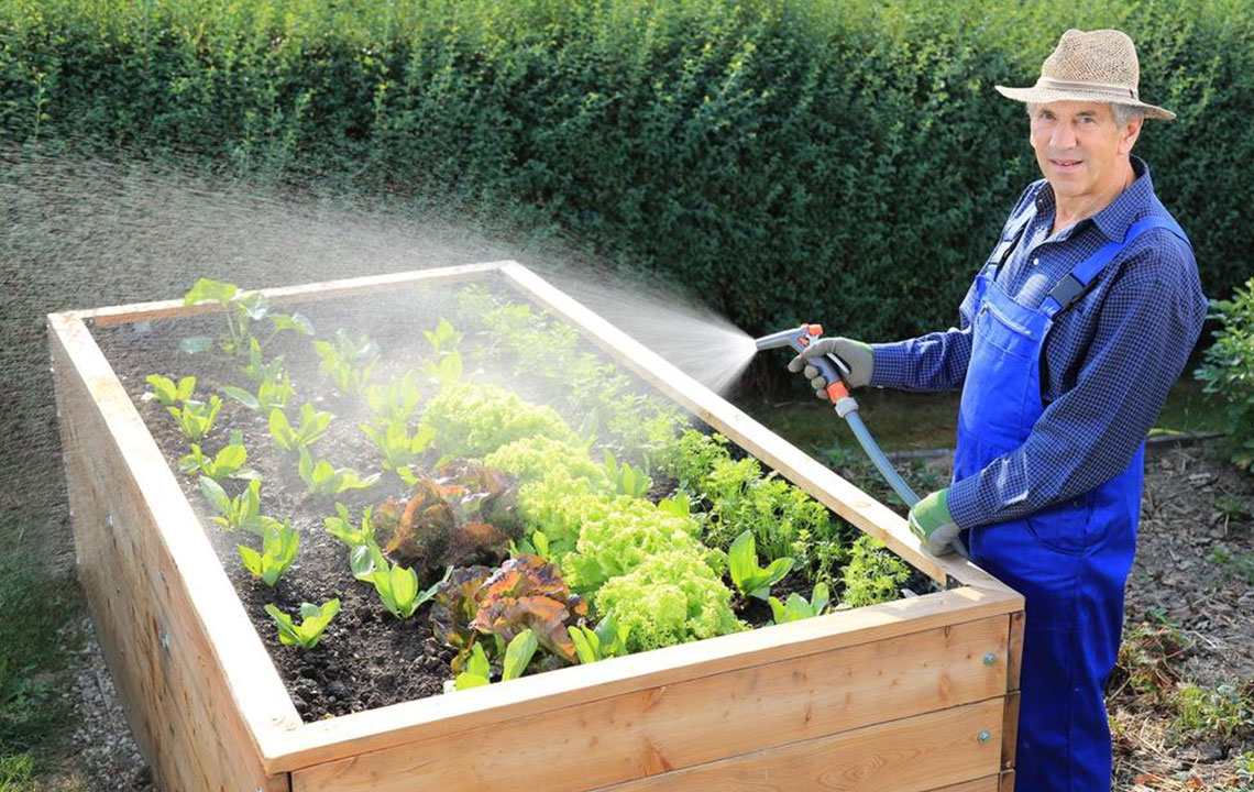 Essential Gardening Tips for Beginners to Cultivate a Thriving Garden