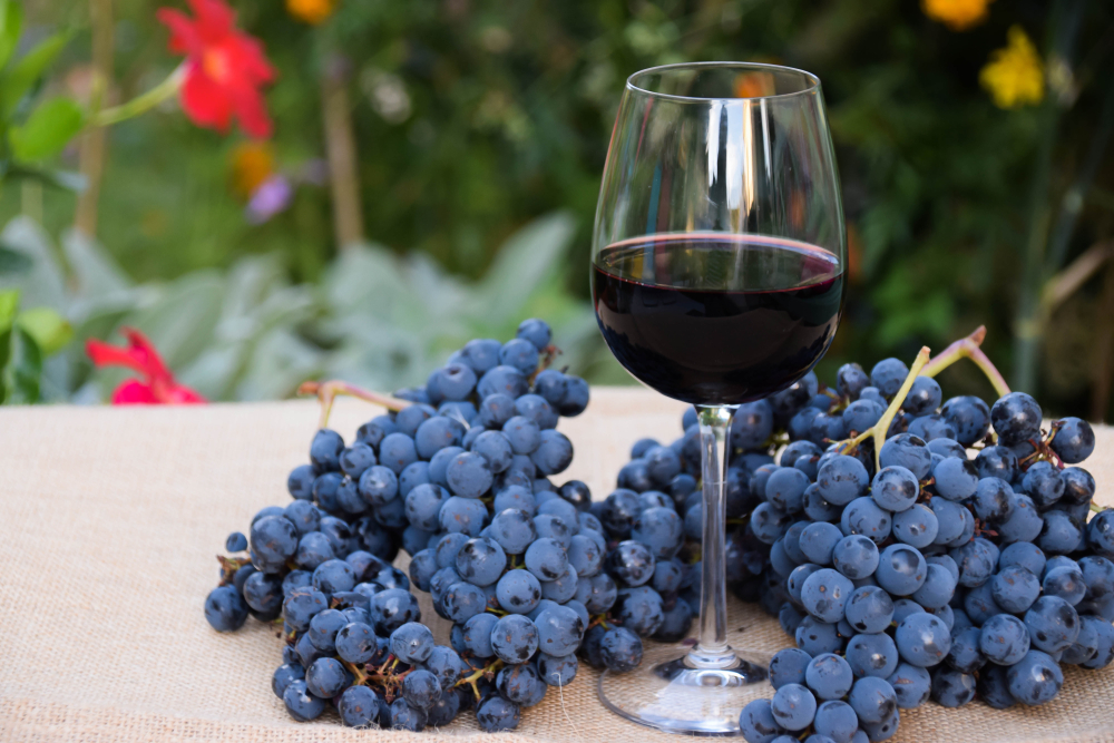 Top 7 Health Advantages of Drinking Wine