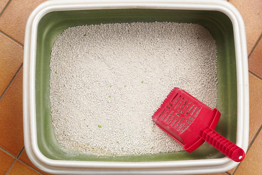 Advantages of Automatic Cat Litter Boxes