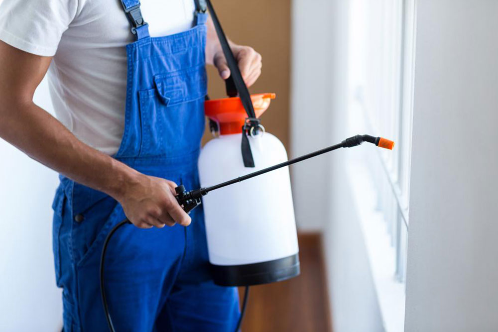 Top Pest Control Providers in the United States