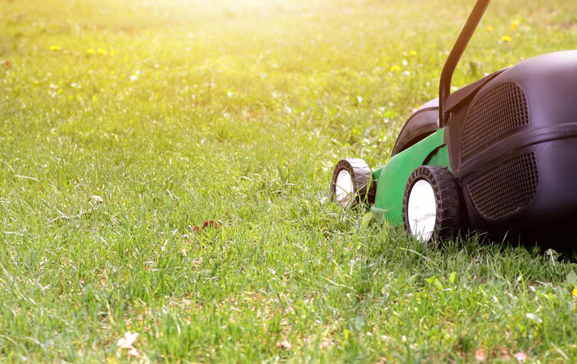 Essential Tips for Selecting the Perfect Lawn Mower