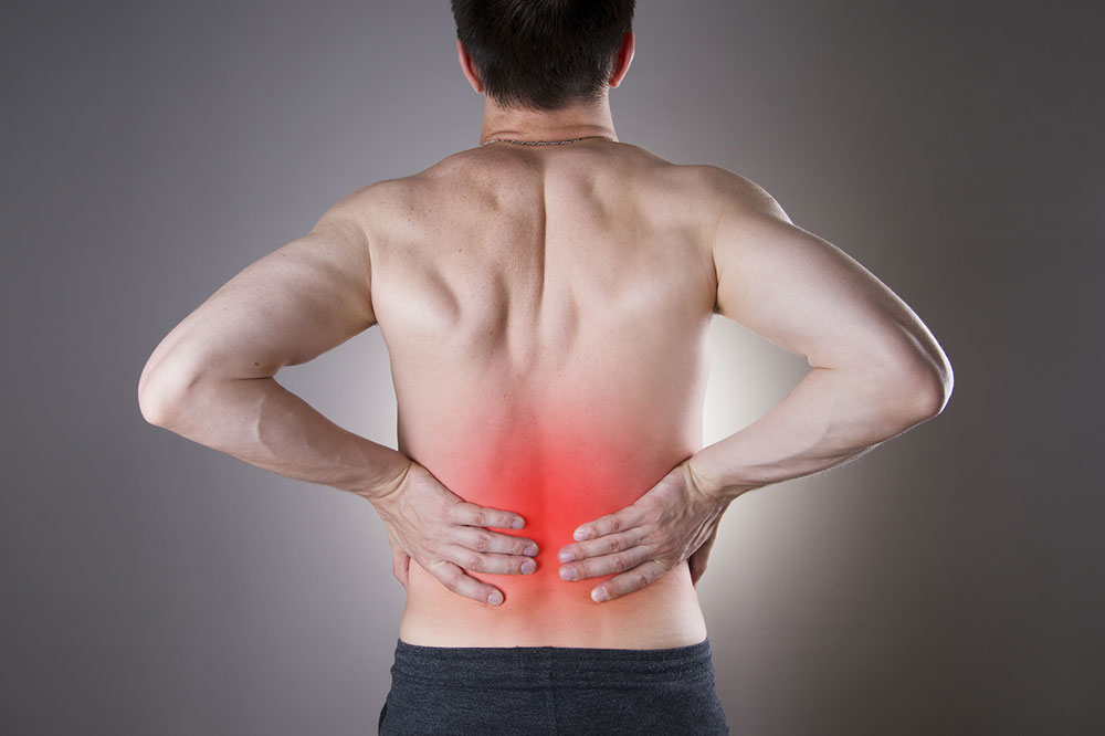 Key Insights into Kidney and Liver Health Risks