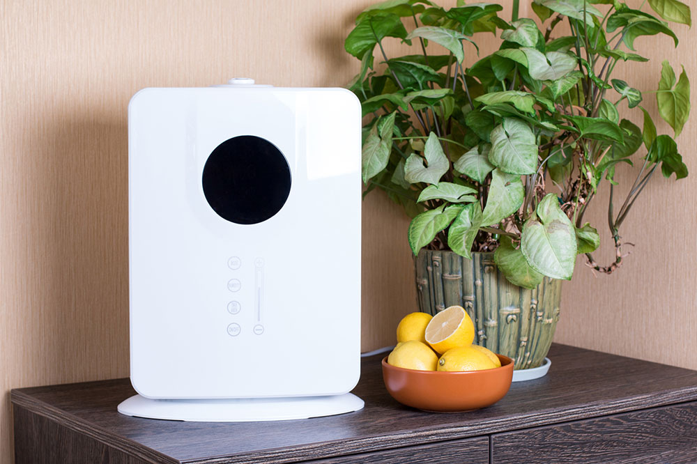 Top 4 Air Purifiers for Cleaner Indoor Air Today