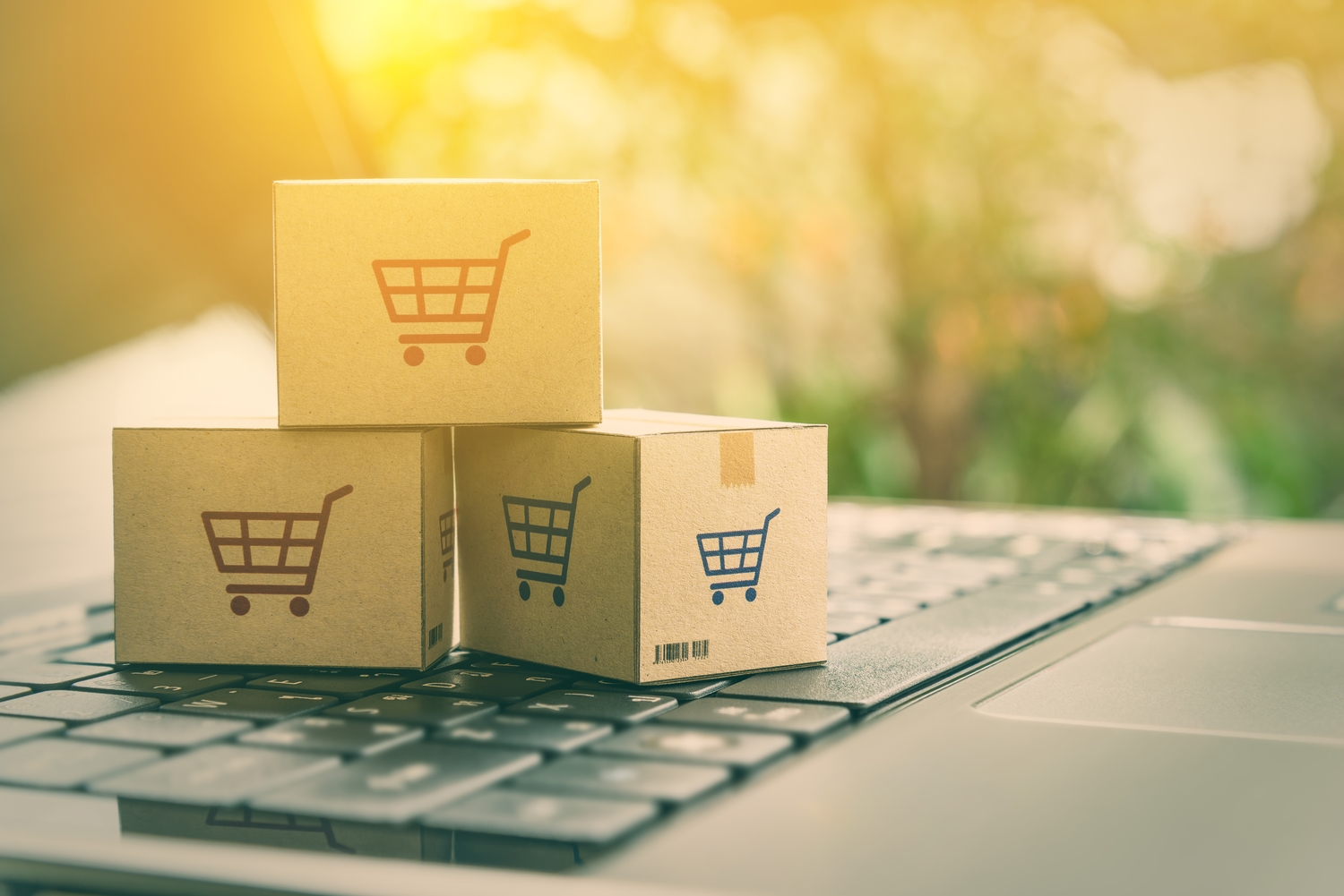 Streamlining Online Retail with Advanced Shipping Solutions