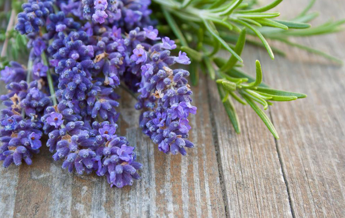 Effective DIY Solutions for Keeping Mosquitoes Away