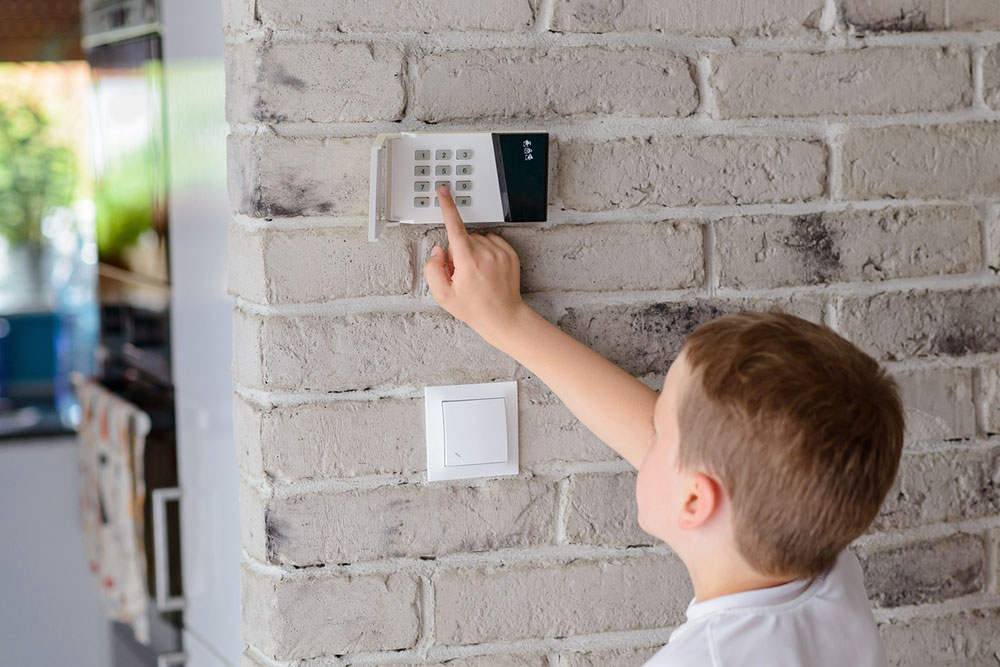 Essential Tips Before Choosing a Home Security System
