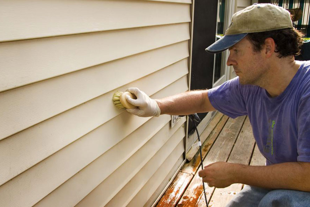 Effective Solutions for Home Mold Remediation